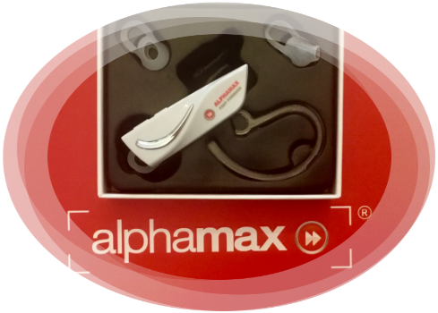 Le programme alphamax masterlangue, 